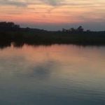 Sue Weaver - @sue.weaver.75685 - Instagram