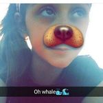 brooks_spamzzzz - @sueweimer74 - Instagram