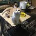 Sue Weimer - Facebook