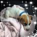 Sue Weir - Facebook
