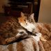 Sue Weir - Facebook