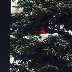 Sue Weir - @sue.weir.34 - Instagram