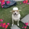 Sue Weir - @sue.weir7 - TikTok