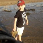 sue welsh - @sue_welsh258 - Instagram