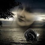 Sue Welsh - @sue.welsh.984 - Instagram