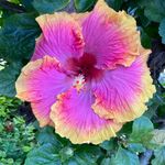 Sue Werner - @keepingupwith_miss_sue - Instagram