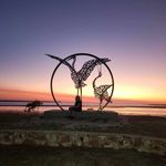 Sue Werner - @suewerner1 - Instagram