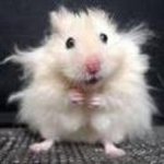 Sue Whaley - @firstmoe01 - Instagram