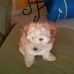 Sue Wheatley - Facebook