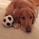 Sue Whitney - @suewhitney9011 - Instagram