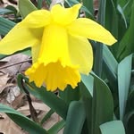 Sue Whitney - @suebob1955 - Instagram