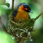 Ray & Sue | Wildlife Photography - @wildlife.raynsue - Instagram