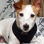 Sue Wild - @sueby71 - Instagram