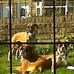 Sue Wild - Facebook
