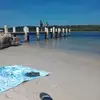 Sue Wild - @sue.wild2 - TikTok