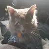 suewildflower85 - @suewildflower85 - TikTok