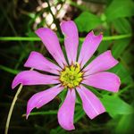 Sue Wilder - @wilder.sue - Instagram