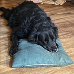 Sue Wiley - @suewileycalhoun - Instagram