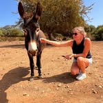 Sue - @sue_will_meer - Instagram