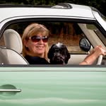 Sue Williams - @sue_williams_art - Instagram