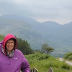 Sue Willis - @suewillisynys - Instagram