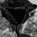 Sue Willis - Facebook