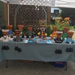 Sue Willis - @swilliscreations - Instagram