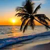 Sue Willis - @sue.willis - TikTok