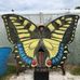 Sue Wingert - Facebook