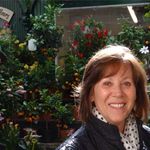 Sue Wingert - @sue.wingert - Instagram