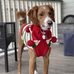 Susan Ken Wingert - Facebook