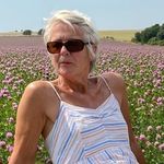 Sue Winter - @suesuew21 - Instagram