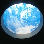 Sue Winter - @trillian222 - Instagram