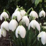 Sue Winter - @sue.winter.71 - Instagram