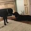 suewinter3 - @suewinter3 - TikTok