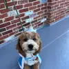suewinter998 - @suewinter2 - TikTok