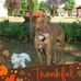 Sue Wogan - Facebook