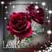 Sue Woolley - Facebook