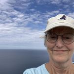 Sue Wortman - @librarysw - Instagram