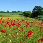 Sue Wright - @sue.wright.79219 - Instagram