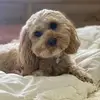 Sue Wright - @user336932475 - TikTok