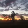 Sue Wright - @sue.wright59 - TikTok