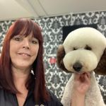 Sue Wright Dcpg - @sue_wright_petstylist - Instagram
