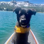 Sheryl Sue Yeager - @sheryl.sue.yeager - Instagram