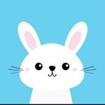 Sue Yim - @yim1807 - Instagram