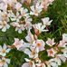 Sue-Ann Smith - Facebook