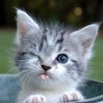 Sue Ann Stopher-Smith - @sueann.smith - Instagram