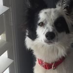 Suellen Moore - @suellen.moore.7 - Instagram