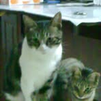 Suet Cheung - Facebook