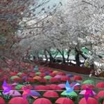 Suet Cheung - @yuet.cheung.3 - Instagram